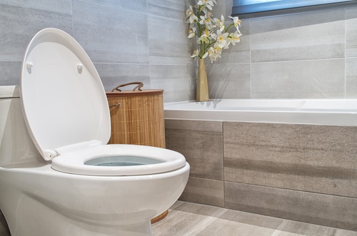 Toilet, Faucets, & More